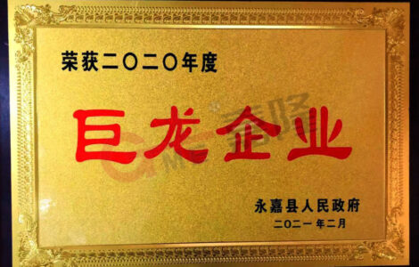 9-企业荣誉：2020年度巨龙企业